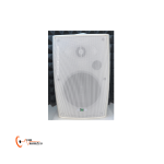 اسپیکر دکوراتیو DBS-50