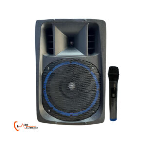 اکو همراه دیباصوت DBS-1400 WIRE